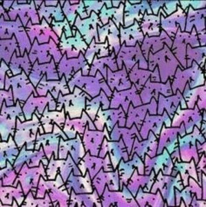 Meet your Posher, Nayeli